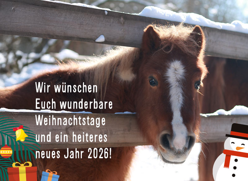 News-Bild Kurs: Mädchen beim Sägen in der Kinderwerkstatt der Jugendfarm