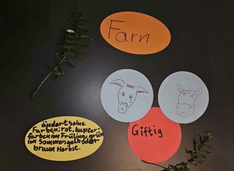 News-Bild Ausschnitt aus Video