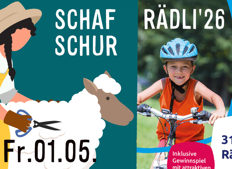 News-Bild Schafschur und Rädli am 01.05.2026
